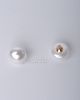 Glossy Half Ball Imitation Pearl Buttons with Gold Metal Shank 10 Pieces 203449 