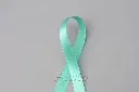 8-ribbon-021_1.webp